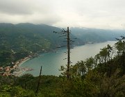 2013 Cinque Terre 145  Verso Monterosso