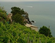 2013 Cinque Terre 224