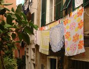 2013 Cinque Terre 270