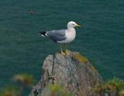 2013 Cinque Terre 323