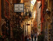 2013 Cinque Terre 589