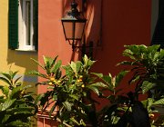 2013 Cinque Terre 598