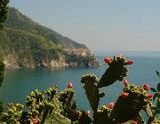 2013 Cinque Terre 647  Manarola vista da Corniglia