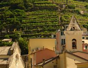 2013 Cinque Terre 688