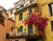 2013 Cinque Terre 770