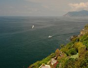 2013 Cinque Terre 884