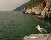 2013 Cinque Terre 976