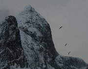 2013 Isole Lofoten 0340