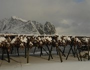 2013 Isole Lofoten 0620