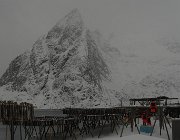 2013 Isole Lofoten 0979  Hamnoy, norvegesi al lavoro