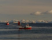 2013 Isole Lofoten 1573