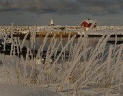 2013 Isole Lofoten 1652