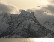 2013 Isole Lofoten 2008