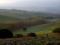 2013 novembre Toscana 0046