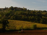 2013 novembre Toscana 0107