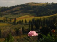 2013 novembre Toscana 0179