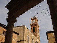 2013 novembre Toscana 0404