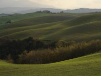 2013 novembre Toscana 0445