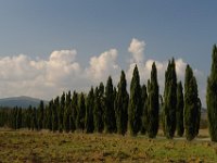 2013 novembre Toscana 0610