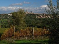 2013 novembre Toscana 1252