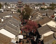 2015 2016 Yunnan 0226