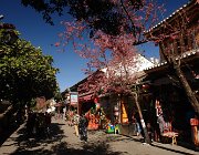 2015 2016 Yunnan 0286