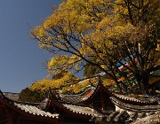 2015 2016 Yunnan 1495