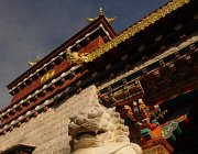 2015 2016 Yunnan 2116