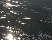2015 2016 Yunnan 3093