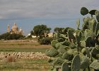 2015 Malta 586  Verso la Rotunda di Xewkija
