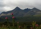 2015 Scozia 0983  Cuillin Hills, vicino Sligachan