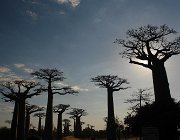 2016 Madagascar 0133