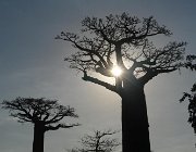 2016 Madagascar 0135