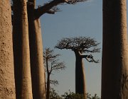 2016 Madagascar 0139
