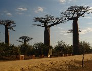 2016 Madagascar 0144