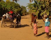 2016 Madagascar 0156