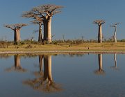 2016 Madagascar 0174
