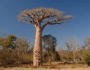 2016 Madagascar 0186