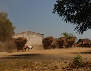 2016 Madagascar 0205