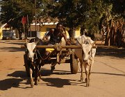 2016 Madagascar 0263