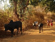 2016 Madagascar 0289