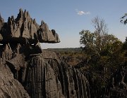 2016 Madagascar 0355