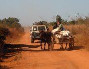 2016 Madagascar 0456