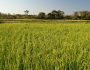 2016 Madagascar 0517
