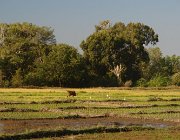 2016 Madagascar 0537