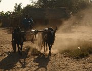 2016 Madagascar 0544