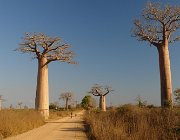 2016 Madagascar 0563