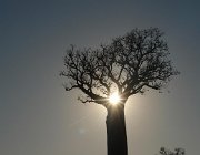 2016 Madagascar 0571