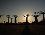 2016 Madagascar 0590