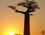 2016 Madagascar 0605